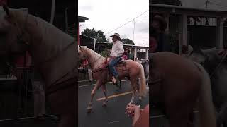 Cabalgata en chame 2024 [upl. by Eerehc]