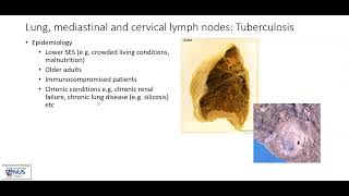 Lung mediastinal and cervical lymph nodes Tuberculosis TB Gross pathology [upl. by Anek129]