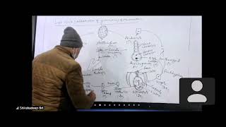 life cycle of marchantia by AKD Sir [upl. by Joelie]