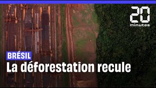 Amazonie  Entre janvier et juin 2023 la déforestation au Brésil à baissé de 34 [upl. by Zetnahs]