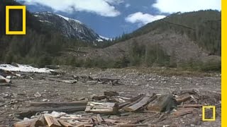 Great Bear Rainforest  National Geographic [upl. by Hildegard]