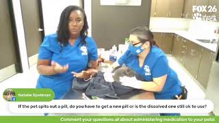 The Pet Pawcast  How to Administer Medication to Your Pet [upl. by Odlo]