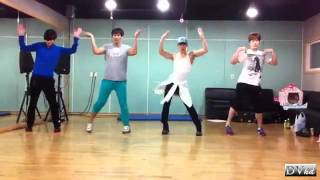 2AM Miss AM  Goodbye Baby dance practice DVhd [upl. by Amsden243]