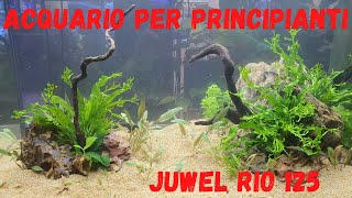 Il tuo PRIMO ACQUARIO  allestimento facile per principianti  Juwel Rio 125 [upl. by Ancilin849]