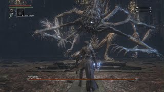 Bloodborne  Defiled Amygdala [upl. by Amandi]