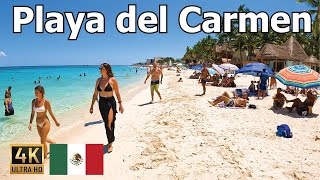 Playa del Carmen  4K Walk on the BEST Beach in Mexico [upl. by Ahsiel]