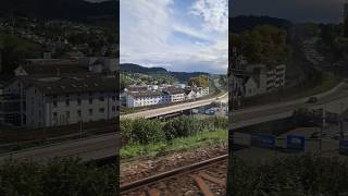 schaffhausen schweiz suisse schwitzerland shorts yt [upl. by Niuq379]