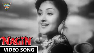 Man Dole Mera Tan Dole Video Song  Nagin 1954 Movie  Vyjayanthimala Pradeep Kumar [upl. by Bilow]