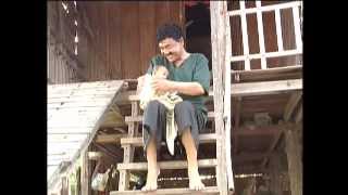 Khmer Comedy ឣាជ័យមេគ្រត  A Chey Mi Krot [upl. by Nnylatsyrc]