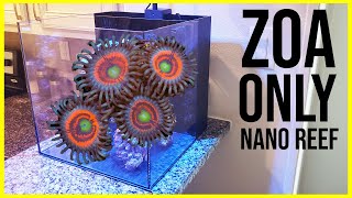 Step 1  Aquascaping the ZoanthidOnly Nano Reef [upl. by Stefanac]