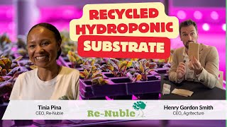 Grow Microgreens Sustainably Hydroponic Substrate Recycling Tips  ReNuble [upl. by Tann]