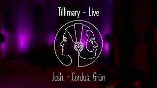 Cordula Grün  Live Cover [upl. by Laehplar898]