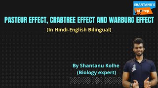 Pasteur effect  Crabtree effect  Warburg effect  In Hindi  CSIR NET  GATE  Shantanu Kolhe [upl. by Trutko]