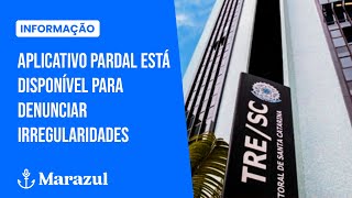 Aplicativo pardal está disponível para denunciar irregularidades eleitorais [upl. by Aner439]