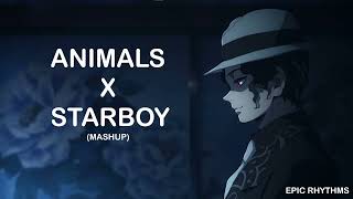 Animals X Starboy Mashup  Epic Rhythms [upl. by Ayotnom177]