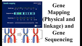 Gene Mapping Physical and linkage and Gene Sequencing Sanger Next amp ThirdGeneration Sequencing [upl. by Concepcion51]