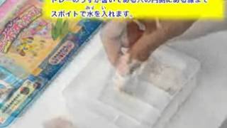 wwwJetsoMallnet 可食用 DIY 玩具 Kracie Popin Cookin 壽司 Sushi 套裝2 親子 日本 香港 [upl. by Marrilee]