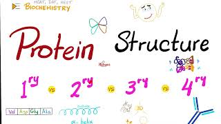 Protein Structure Primary Secondary Tertiary and Quaternary  Biochemistry [upl. by Kerns941]