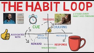 4 stages of The Habit Loop [upl. by Thibaud342]