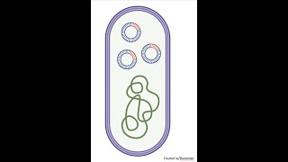 Introduction to Microbial Genetics and Gene ExpressionChapter 8 Lecture 1 [upl. by Charbonneau578]