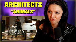 Architects  quotAnimalsquot  FIRST TIME REACTION  Orchestral Version  Live at Abbey Road [upl. by La Verne]