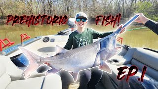 Fishing for GIANTS Snagging BIG Spoonbill Paddlefish on LIVESCOPE in Oklahoma New PB Ep 1 [upl. by Nylatsyrc]