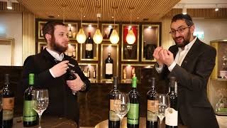 Discover Wines Without Sulfites at The Grapevine [upl. by Weinhardt541]