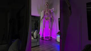 There’s a 12 foot skeleton in our house [upl. by Etnoled]