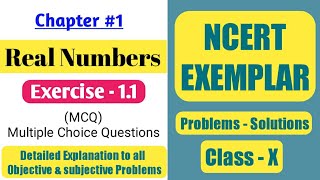 Chapter 1 Real Numbers Exercise 11 solutions  NCERT Exemplar class 10 Maths [upl. by Ahsemrac]