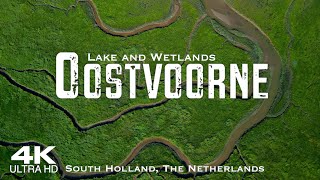 OOSTVOORNE 2024 🇳🇱 Drone Aerial 4K  South Holland Netherlands Nederland  Oostvoornse Meer [upl. by Ferris42]