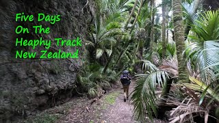 Heaphy Track NZ Takahe [upl. by Cromwell]