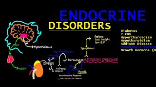 Endocrine Disorders Explained Causesamp Symptoms [upl. by Nevanod]