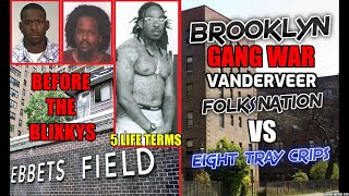 Brooklyn Gang War  The Folks Nation Gds Ebbets Field VS The Eight Trey Crips Vanderveer Houses [upl. by Derayne]