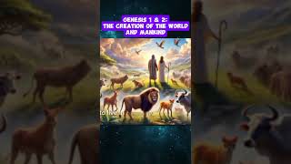 GENESIS 1 amp 2 THE CREATION OF THE WORLD AND MANKIND universe animatedbible creationstory [upl. by Epuladaug]