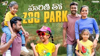 హరిణి తో Zoo Park  Nehru zoological Park Hyderabad  zoo vlog  Mahishivan [upl. by Charmain]