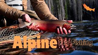 Alpine Lake Fly Fishing For Cutthroat [upl. by Chandless]