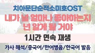 1시간 치아문단순적소미호OST  내가 널 얼마나 좋아하는지 넌 알게 될 거야  我多喜欢你 你会知道 [upl. by Ayoted]