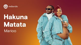 Marioo  Hakuna Matata Official lyrics video [upl. by Sammer]