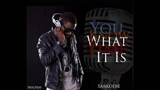 Sarkodie  This Is Mixtape Crazy Freestyle [upl. by Naeroled659]