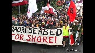 Protest March over Auckland Harbour Bridge 2004 [upl. by Fey963]