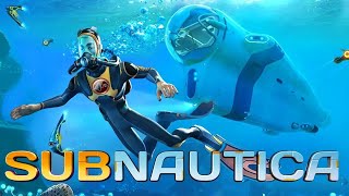 Subnautica  Unknown Worlds  Gameplay Deutsch  Aerogel  51 [upl. by Benedicto]