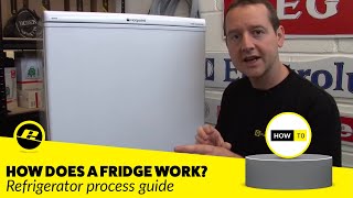 How Does a Fridge Work How is a Fridge Cooled amp More [upl. by Assir545]