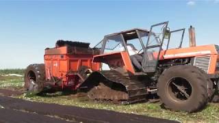 Zetor Crystal on tracks  Turf Cutting 2018 [upl. by Ellecram568]