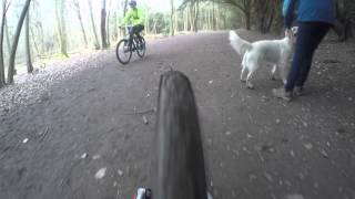 Downhill Mountain Biking Wendover Woods [upl. by Zebulen]