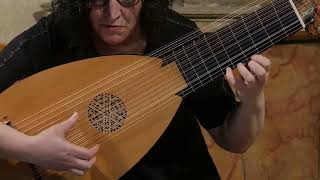 Sylvius Leopold Weiss Passagaille in D Dur Evangelina Mascardi baroque lute [upl. by Mahau]