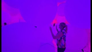 Experiencing Tokyos TeamLab Planets  Luxester Private Tour [upl. by Ydarg]