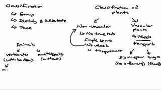 Classification of Living Things [upl. by Yalhsa]