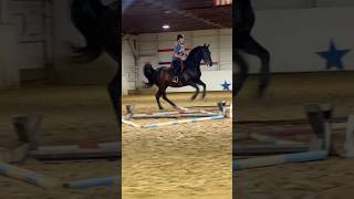 Jumping is so FUN equestrianvibes horse [upl. by Neelrahc754]