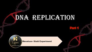 DNA REPLICATION Meselson Stahl Experiment part1 dnareplication biology csir lifescience [upl. by Rucker24]