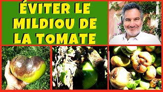 Mildiou de la tomate  Comment léviter [upl. by Esej763]